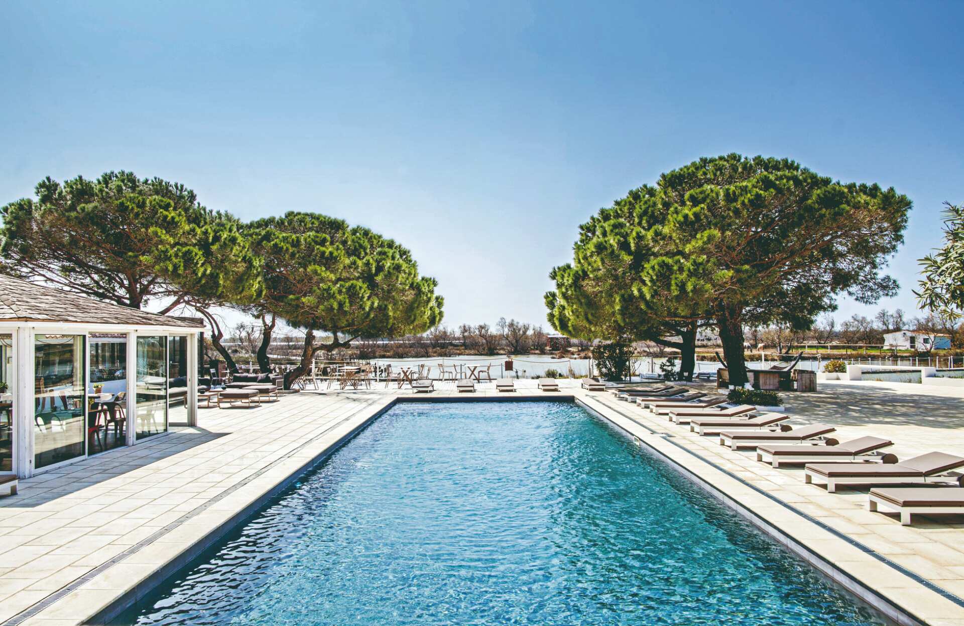 Une piscine extérieure élégante s’étire sous un ciel parfaitement dégagé, bordée de transats alignés avec précision et entourée de grands pins aux formes sculpturales.
L’eau bleutée scintille au soleil tandis que la terrasse spacieuse et les espaces environnants invitent à un moment de détente exclusif, dans un cadre naturel et parfaitement aménagé.